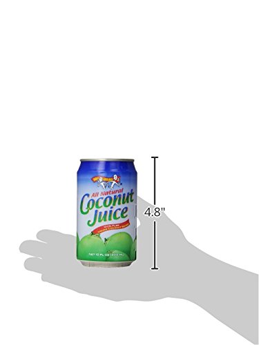 Amy & Brian Coconut Water Original, 10 Fl Oz (Pack of 24)