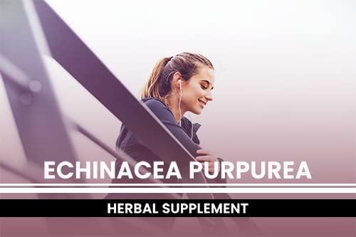 PURE ORIGINAL INGREDIENTS Echinacea Purpurea (365 Capsules) No Magnesium Or Rice Fillers, Always Pure, Lab Verified