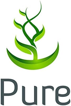 PURE ORIGINAL INGREDIENTS Echinacea Purpurea (365 Capsules) No Magnesium Or Rice Fillers, Always Pure, Lab Verified