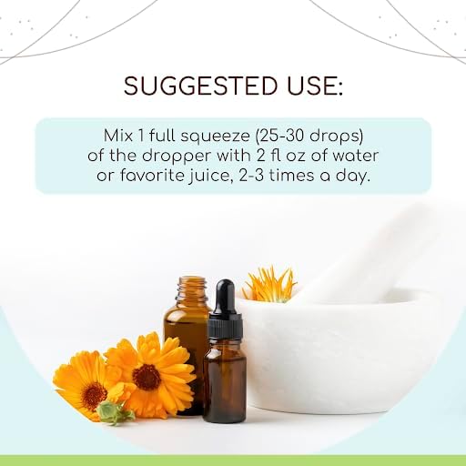 Sassafras B60 Alcohol-Free Herbal Extract Tincture, Concentrated Liquid Drops Natural Sassafras (Sassafras albidum) Dried Root Bark (2 fl oz)
