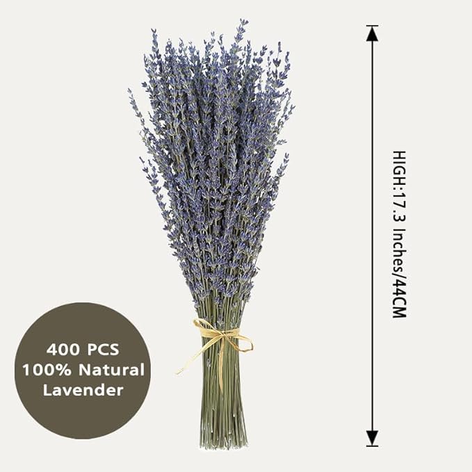Dried Lavender 4 Bunches 100% Fresh Natural Purple Bouquet Flowers for Bathroom Photo Props Crafts (200g/7oz), 15-17" for Shower Weeding Vase Decor, Aromatherapy Home Fragrance(400-440 Stems Total)