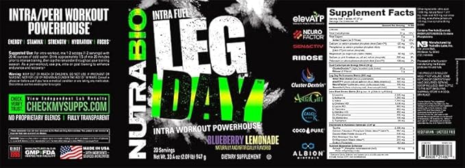 NutraBio Leg Day Intra Carb Supplement – Advanced Carbohydrate Complex – Amino Acid EAA/BCAA Formula – Comprehensive Electrolyte Blend for Recovery and Performance - 20 Servings, Blueberry Lemonade