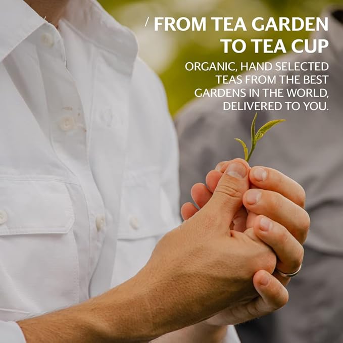 Grace Farms BREATHE Wellness Organic Tea Blend (50 Sachet Pouch) | Turmeric and Ginger with Adaptogenic Herbs | Immunity and Digestion Support | Caffeine Free | Gives Back 100% of Profits