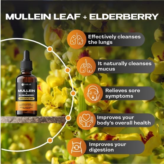 FabLab Mullein Leaf Extract with Elderberry 4 Fl Oz - Made in USA - Drops for Better Lung - Mullein Tincture for Lung Detox - Bronchial Cleanse for Smokers - Respiratory Herbal Supplement