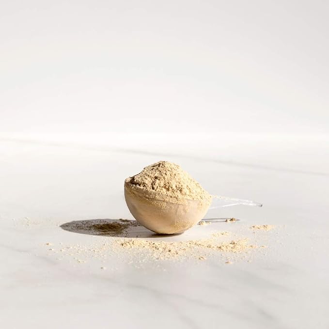 WelleCo, Nourishing Protein, Premium Organic Sprouted Brown Rice & Pea Protein, Vanilla Flavour, 300g (10.5oz) Pouch