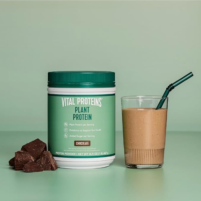 Vital Proteins Protein Powder – 20g Plant Based Protein with Chickpea – 1B CFU Probiotic for Gut Health, No Added Sugar – Chocolate, 16.5 oz