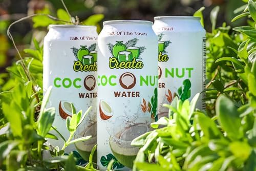 Coconut Water Bulk 99% Pure 16.57 Fl Oz - Pack of 12 Nutrient-Rich and Fresh | Low Sugar & Calories | Pure Coconut Water with Electrolytes by Creata