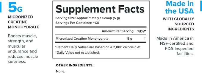 LEGION Micronized Creatine Monohydrate Supplement - Clean Creatine Powder for Muscle Gain & Post Workout Recovery - Micronized Creatine Supplement for Maximum Absorption (60 Servings, Unflavored)