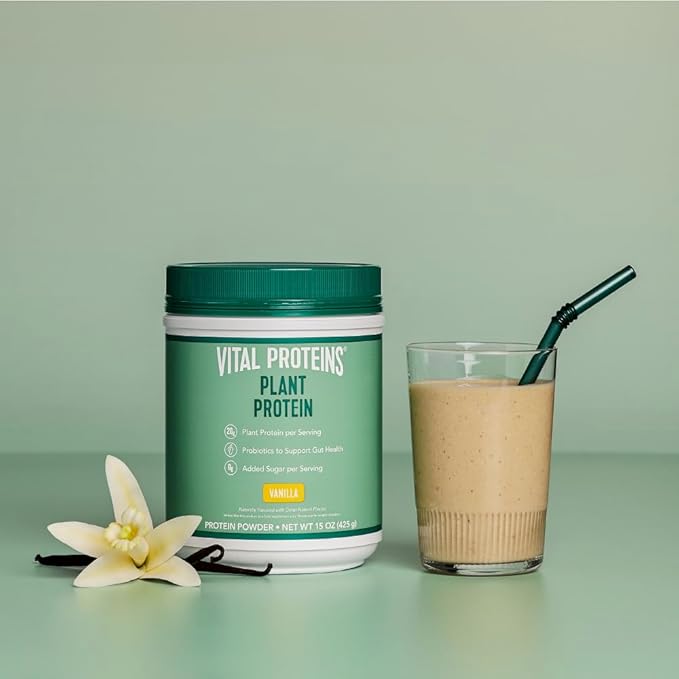 Vital Proteins Protein Powder – 20g Plant Based Protein with Chickpea – 1B CFU Probiotic for Gut Health, No Added Sugar – Vanilla, 15 oz