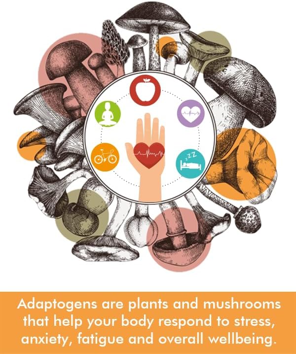 Tree of Life Botanicals - Sleep Mushroom Complex with Magnesium, Melatonin, Reishi, Lion’s Mane, Cordyceps - Calms, Deep Sleep, Restoration (60 Count - 30 Day Supply)