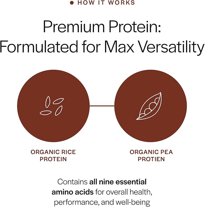 Gainful Everyday Plant Protein Powder, 23g Plant Protein per Serving, Unflavored, Supports Strength, Recovery, and Balanced Nutrition, Vegan, Gut Friendly, No Artificial Ingredients, 14 Servings
