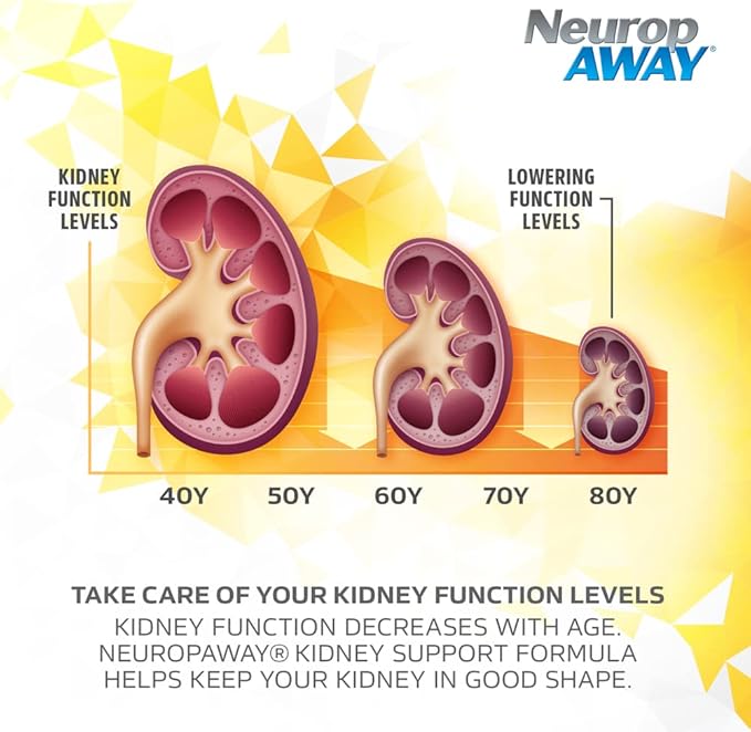 NeuropAWAY Kidney Support Formula Sugar Free with Agmatine Sulfate 500mg L-Novaline 50mg L-Ornithine 150mg L-Citrulline 100mg Per Capsule 90CT Fast Acting Kidney Support