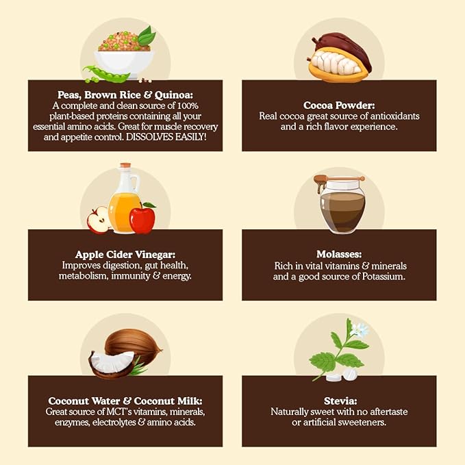 Meal Replacement Shakes, 21g Protein, Vegan Plant Based Protein Powder, Apple Cider Vinegar, Digestive Enzymes, All in One Shake for Women & Men (10 Servings, Cocoa Cream)