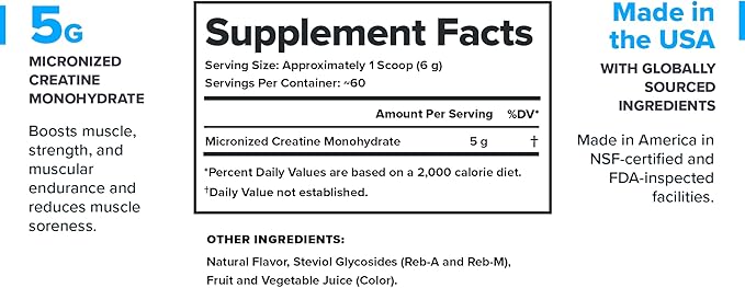 LEGION Micronized Creatine Monohydrate Supplement - Clean Creatine Powder for Muscle Gain & Post Workout Recovery - Micronized Creatine Supplement for Maximum Absorption (60 Servings, Fruit Punch)