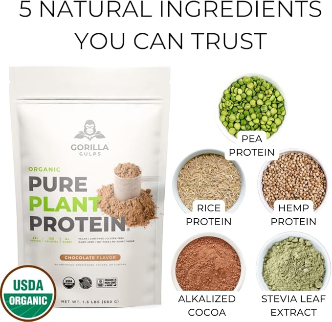 100% Organic Pure Plant Protein Powder | USDA Certified | Organic Protein Powder | Vegan | Non-GMO | Sugar, Soy, Dairy, & Gluten Free | 20 Servings - Chocolate