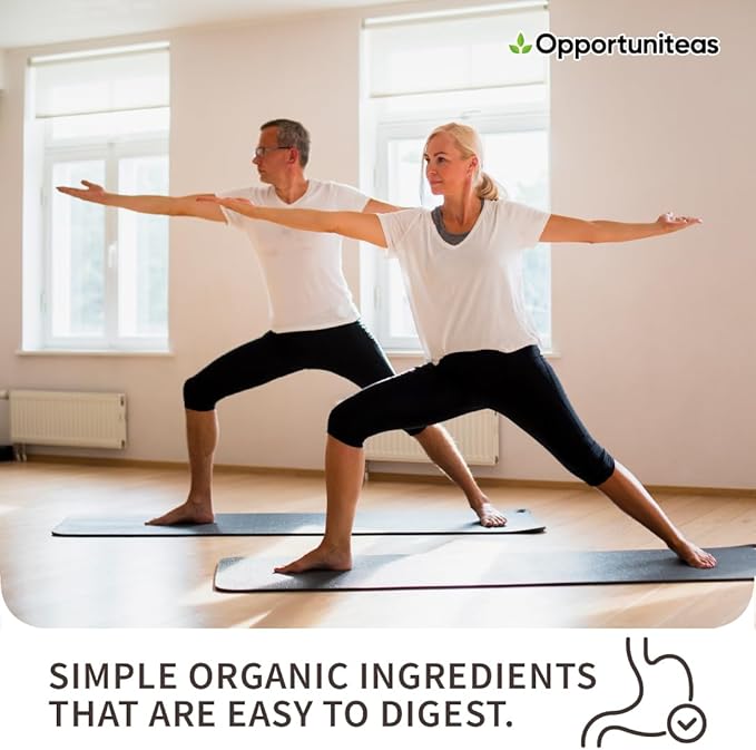 Opportuniteas Organic Plant Based Protein Powder, 20g Pea, Pumpkin, Rice Vegan Organic Protein Powder Without Sugar, Creamy Chocolate, 1 Lb