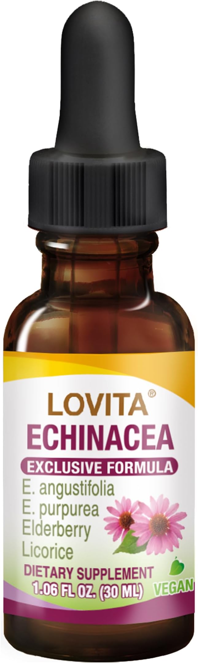 Lovita Echinacea Extract Liquid | 1 FL OZ | 350 mg per Serving | Concentrated Herb Tincture | Vegan | Alcohol-Free | with Elderberry and Licorice Extract
