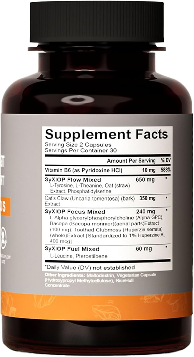 Alpha Boost Swallowable 60 Small Capsules Vitamin B6 L-Tyrosine L-Theanine Phosphatidylserine L-Alpha glycerylphosphorylcholine L-Leucine Enhance Brain Enhance Concentration Enhance Memory