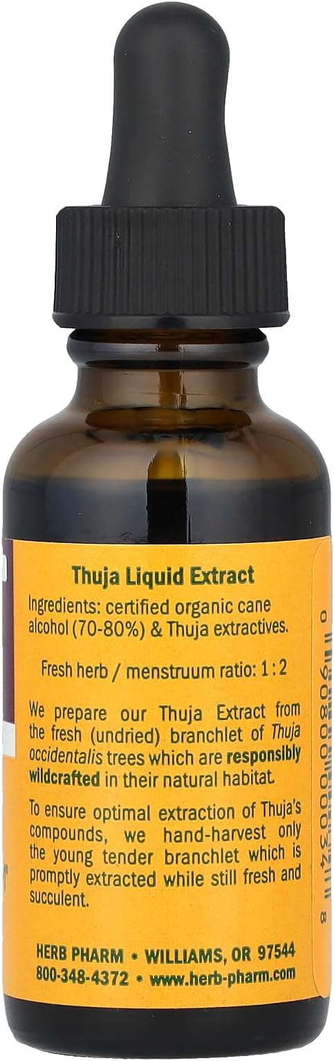Herb Pharm Thuja Branchlet Liquid Extract - 1 Ounce (DTHUJA01)