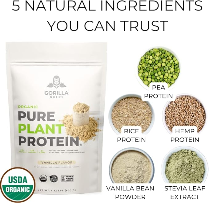 100% Organic Pure Plant Protein Powder | USDA Certified | Organic Protein Powder | Vegan | Non-GMO | Sugar, Soy, Dairy, & Gluten Free | 20 Servings - Vanilla Bean