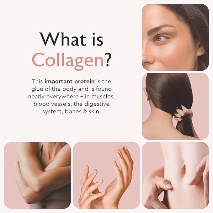 Alaya Naturals Hydrolyzed Multi Collagen Peptides Protein Capsules - Type I, II, III, V, X Grass-Fed Bovine, Chicken, Marine Collagen Supplement with MSM + GC (Capsules - 120 Count)