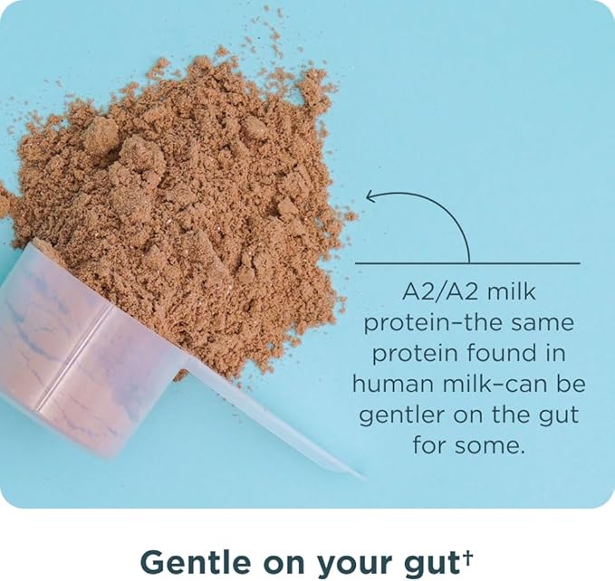 Ancient Nutrition Grass Fed Whey Protein, Milk Chocolate, 23g Protein, 20 Servings, Hydrolyzed Collagen Peptides, Organic Regenerative A2/A2 Milk Protein