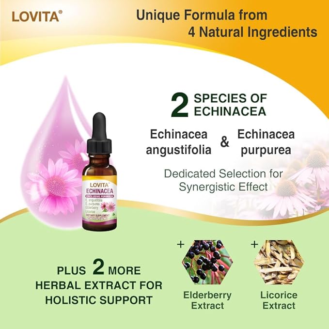 Lovita Echinacea Extract Liquid | 1 FL OZ | 350 mg per Serving | Concentrated Herb Tincture | Vegan | Alcohol-Free | with Elderberry and Licorice Extract