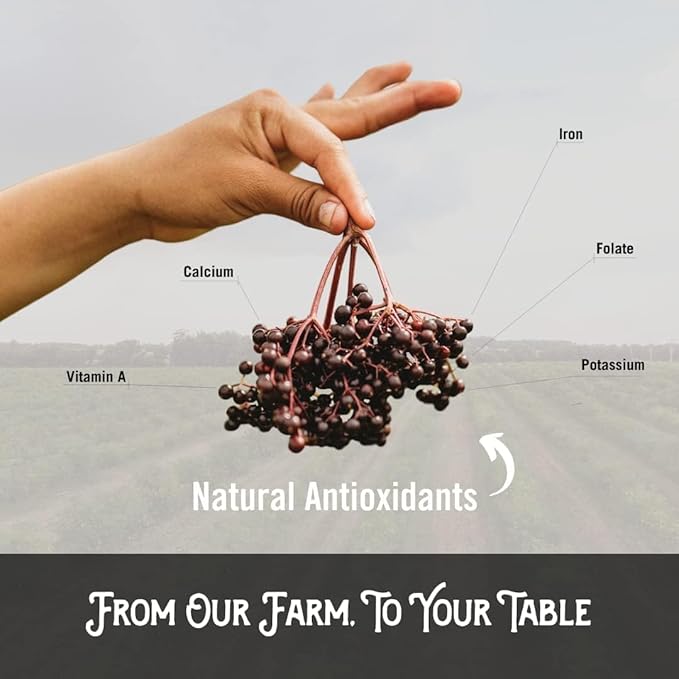 Norm's Farms American Elderberry Extract - Pure Concentrate for Immune Support Made with Berries - Vegan, Gluten Free, Non-GMO - 8 Oz. Bottle