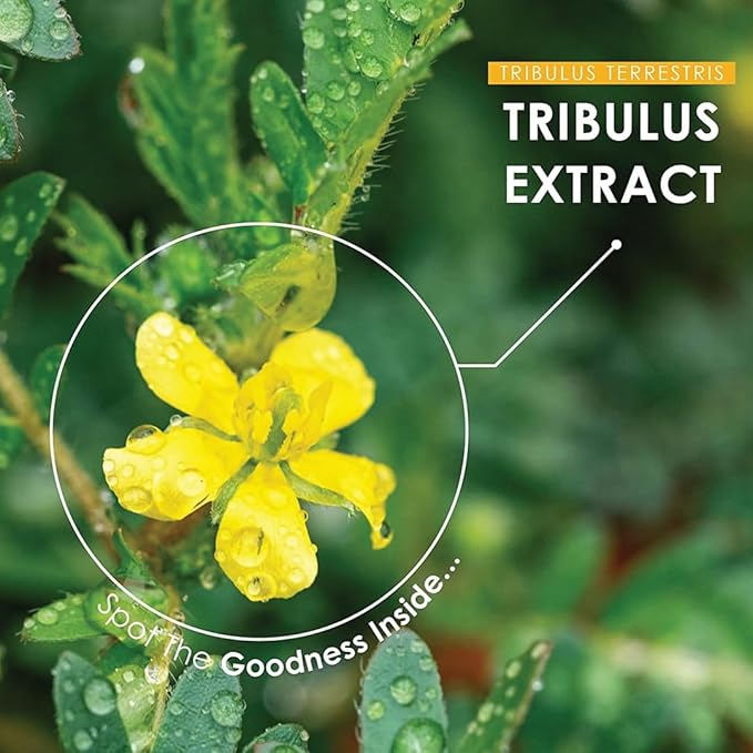minature Gokshura (Tribulus Terrestris) Tablets - Pure Plant Based Herbal Supplement | Natural & Gluten Free | 90 Count, 45 Day Supply