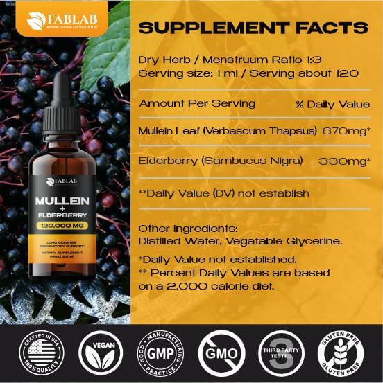 FabLab Mullein Leaf Extract with Elderberry 4 Fl Oz - Made in USA - Drops for Better Lung - Mullein Tincture for Lung Detox - Bronchial Cleanse for Smokers - Respiratory Herbal Supplement