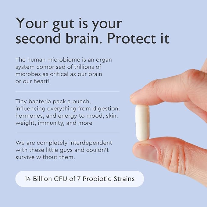 Alaya Naturals Advanced Synbiotic - Probiotic + Prebiotic - 14 Billion CFU Delayed Release Probiotic Supplement with Prebiotics from Sunfiber®, and L-glutamine for Gut Lining Integrity - 60 Capsules
