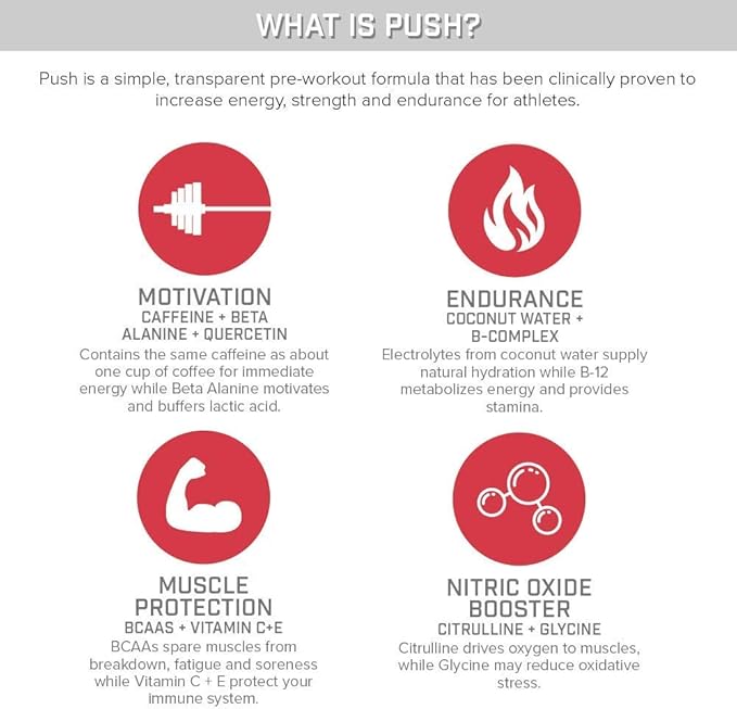 SFH Push Pre-Workout Powder (Fruit Punch) Best Tasting 5g BCAA's for Muscle Repair | Non-Dairy, No Artificial Flavors, Colors, or Sweeteners (Pack of 10 Single Serves)