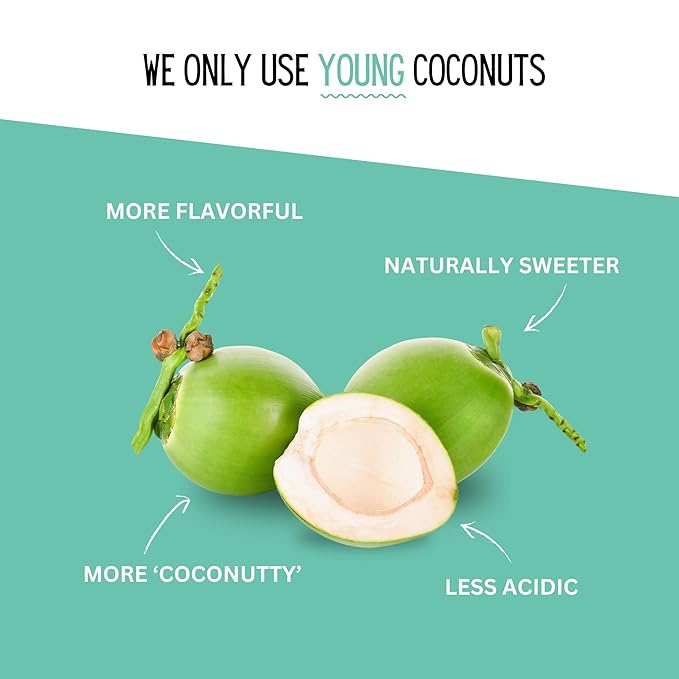 Little Palm - Pure Coconut Water, Made from Young Coconuts, No Sugar Added, Non-GMO, Natural Hydration, Electrolytes, 16.9 fl oz (12-Pack, Original)