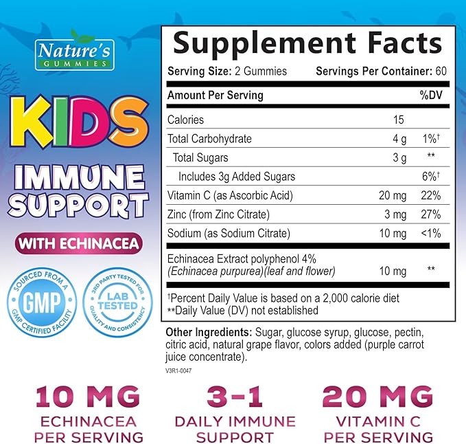 Kids Immune Support Gummies with Echinacea, Zinc & Vitamin C - Berry Flavor Chewable Kids Immunity Gummy Support, Non-GMO Gluten-Free Vegan - Daily Childrens Vitamins with Immune Support - 120 Gummies