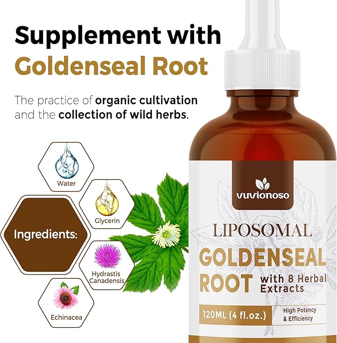 Golden Seal Tincture 3000mg - Goldenseal Root for Immune Function & Lung Care - Sugar-Free, Vegan, Fast Absorbing - Echinacea & Goldenseal Liquid Extract, 120ml (Pack of 2)