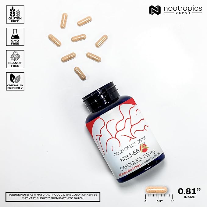 Nootropics Depot KSM-66 Ashwagandha Capsules | 300mg | 90 Count | Withania somnifera Extract | Ayurvedic Herb | Adaptogen Supplement | Promote Relaxation*
