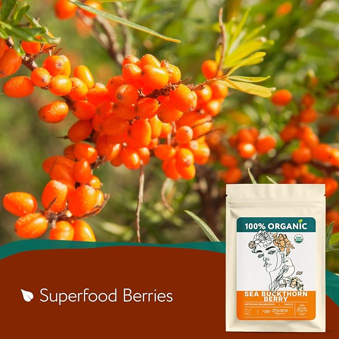 Organic Sea Buckthorn Berry Tea (PACK OF 2) - Seaberries Dried (Espino Amarillo) - Rich in Omega Fatty Acids, Antioxidants - Superfood Berries for Tea, Cooking & Baking