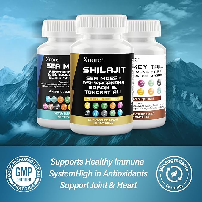 Sea Moss, Black Seed Oil, Ashwagandha, Ginger & Shilajit, Rhodiola Rosea, Panax Ginseng,Lions Mane, Turkey Tail, Reishi, Cordyceps, Chaga All in 1 Supplements (1 Pack)
