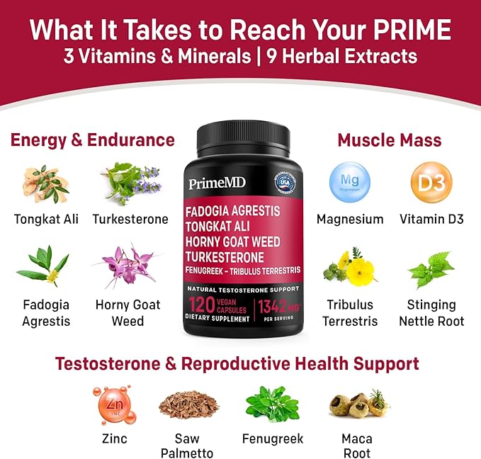 Ceylon Cinnamon (1pk), Fadogia Tongkat Ali (1pk), and Nitric Oxide (1pk) Supplement Bundle - Potent Vitamins for Heart, Energy, Male Well-Being, & Immune Support - Non-GMO, Vegan, Gluten-Free