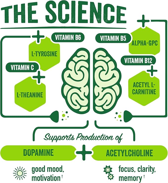 BrainJuice Nootropics Brain Support Supplement, Gluten Free Powder for Energy and Focus, Drink Mix with L Theanine, Alpha GPC, Vitamin B, Organic Green Tea Extract Caffeine, Classic, 15 Servings