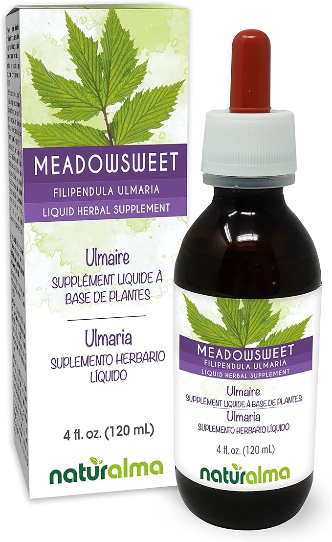 Naturalma Meadowsweet (Filipendula ulmaria or Spirea ulmaria) Flower Alcohol-Free Tincture - 4 fl oz Liquid Extract in Drops - Herbal Supplement - Vegan