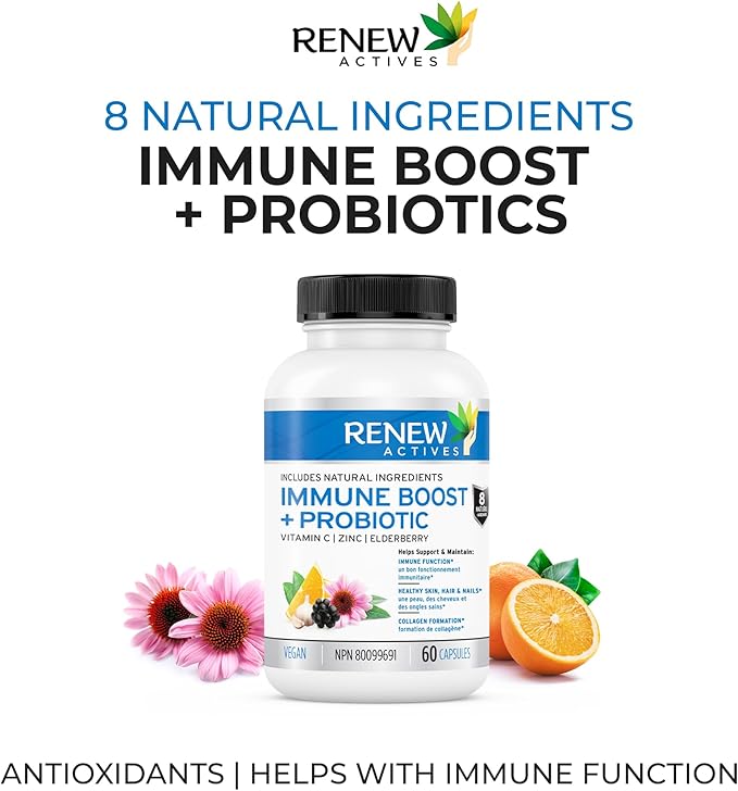 RENEW ACTIVES Antioxidant – Elderberry, Probiotics, Zinc, Vitamin C & Organic Turmeric 700MG per 2 Capsules – For Immune Function, Collagen Formation, & Overall Wellness – Made in Canada - 60 Capsules
