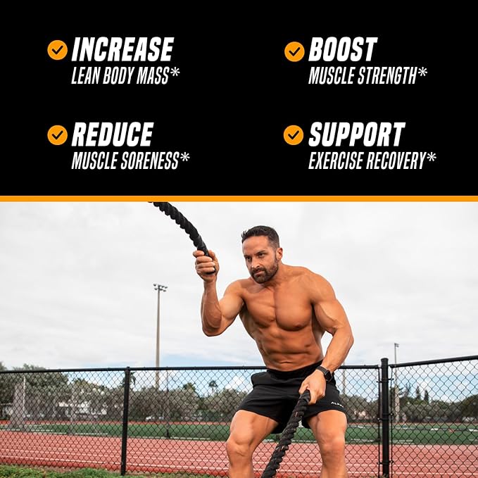 Outwork Nutrition Recovery Drink - Post Workout Recovery Powder & Creatine Monohydrate Muscle Builder for Men & Women - Creatine for Men & Women - After Workout Drink - Orange Sherbet - 230g