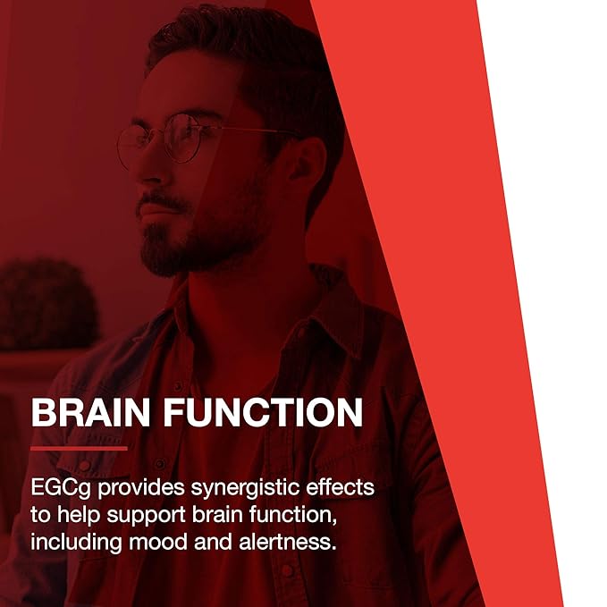 Protocol EGCg 200 mg - 200 mg EGCg Green Tea Extract - Phytonutrients & Polyphenols Supplement* - Kosher & Vegan - 90 Veg Capsules