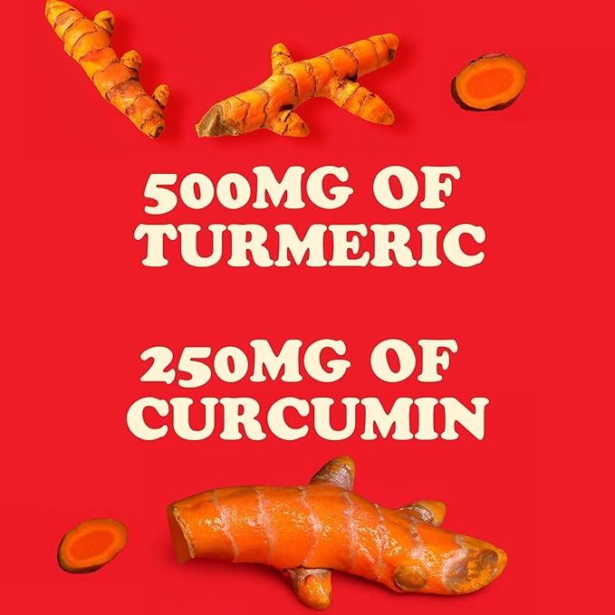 Meal Replacement Shakes, 21g Protein, Vegan Plant Based Protein Powder, Digestive Enzymes, All in One Shake (10 Servings, Turmeric Curcumin Cream)