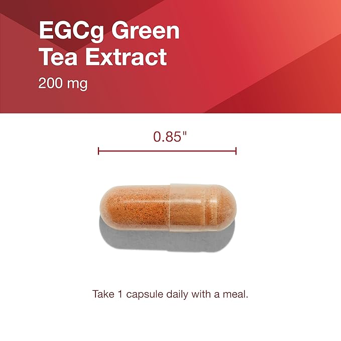 Protocol EGCg 200 mg - 200 mg EGCg Green Tea Extract - Phytonutrients & Polyphenols Supplement* - Kosher & Vegan - 90 Veg Capsules