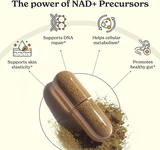 NAD+ Capsules | with Ashwagandha, Resveratrol, CoQ10, NAD+ Precursors | Vitamin B3 |Supports Longevity & Cellular Energy | 1-Month Pack