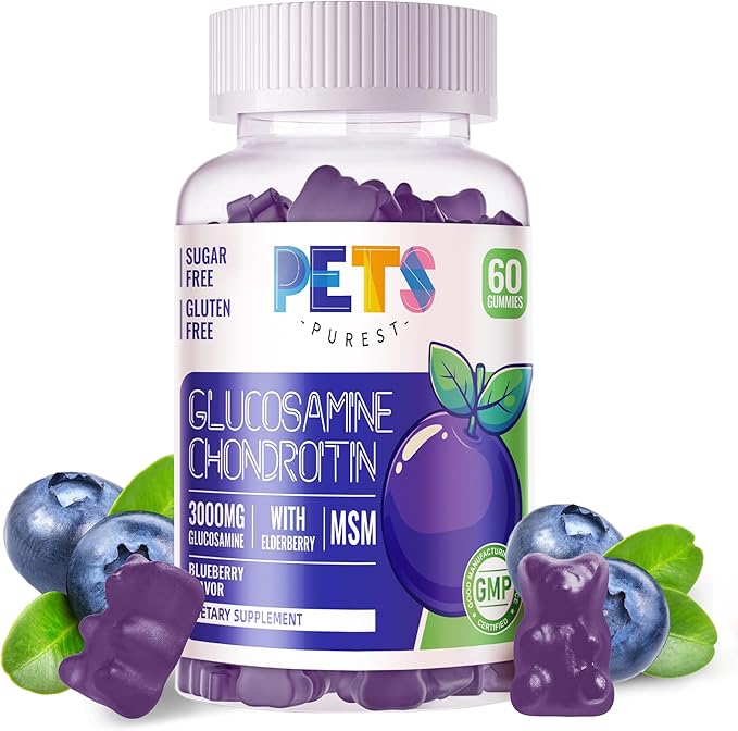 Glucosamine Chondroitin Gummies with MSM & Elderberry Extra Strength - Joint Support, Antioxidant Immune Support Supplement for Adults, Men & Women.60 Blueberry Gummies