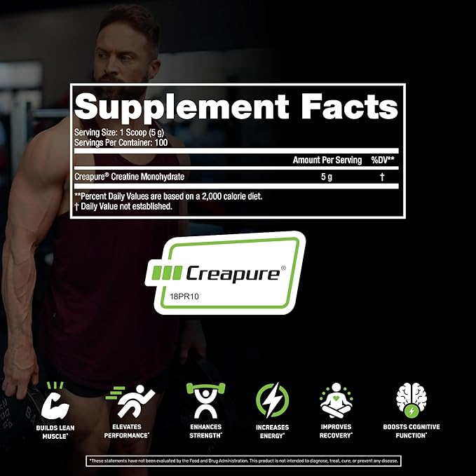 SteelFit Creapure Creatine Monohydrate Powder, Unflavored - German Micronized Creatine Powder for Men & Women - Gym Workout Nutritional Supplements for Muscle Gain, Brain Health & Strength Building
