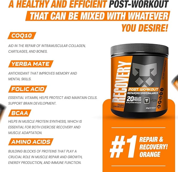 Leon Sport Post Workout Recovery Powder/Muscle Recovery Powder with Protein, COQ10, Amino Acids and BCAA/Daily Protein & Amino Acid - 14 Servings
